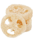 Luffa pesusieni pala Brush Croll & Denecke