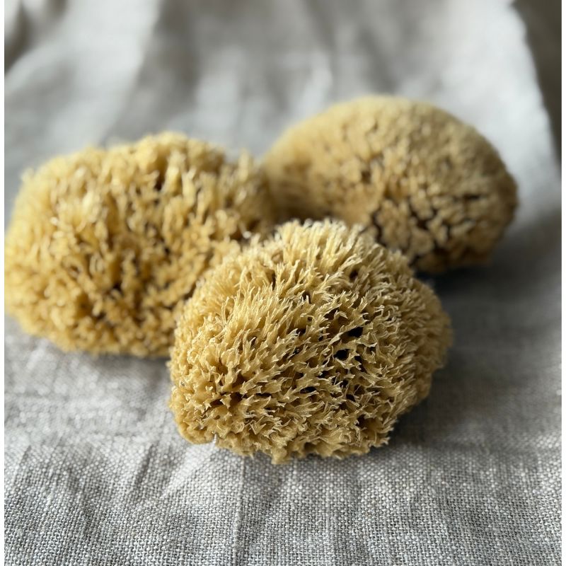 Aito Pesusieni vartalolle - Honeycomb, keskikoko Pesusienet Croll & Denecke 