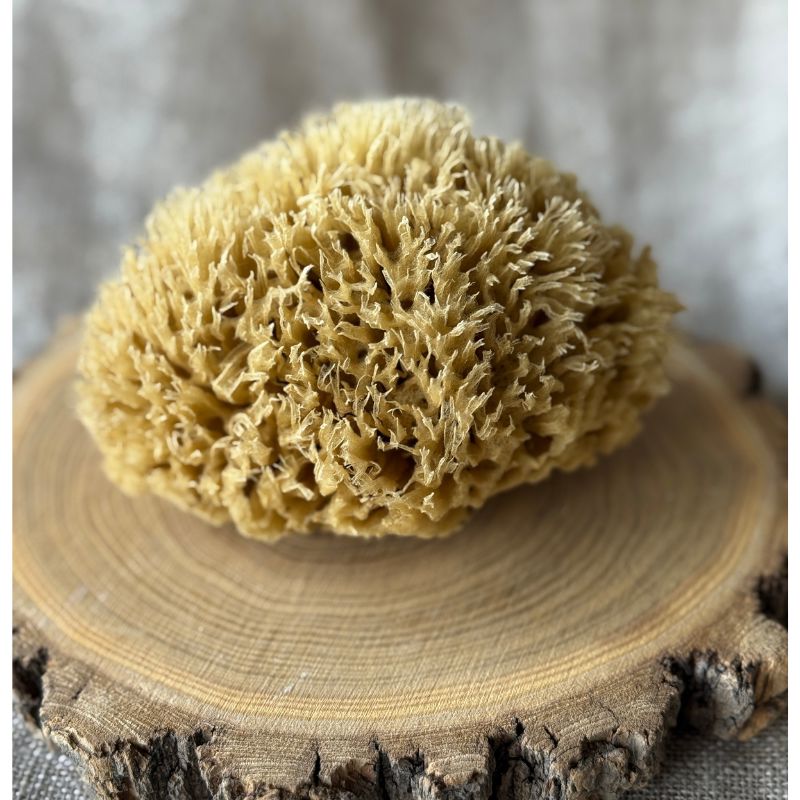 Aito Pesusieni vartalolle - Honeycomb, keskikoko Pesusienet Croll & Denecke 