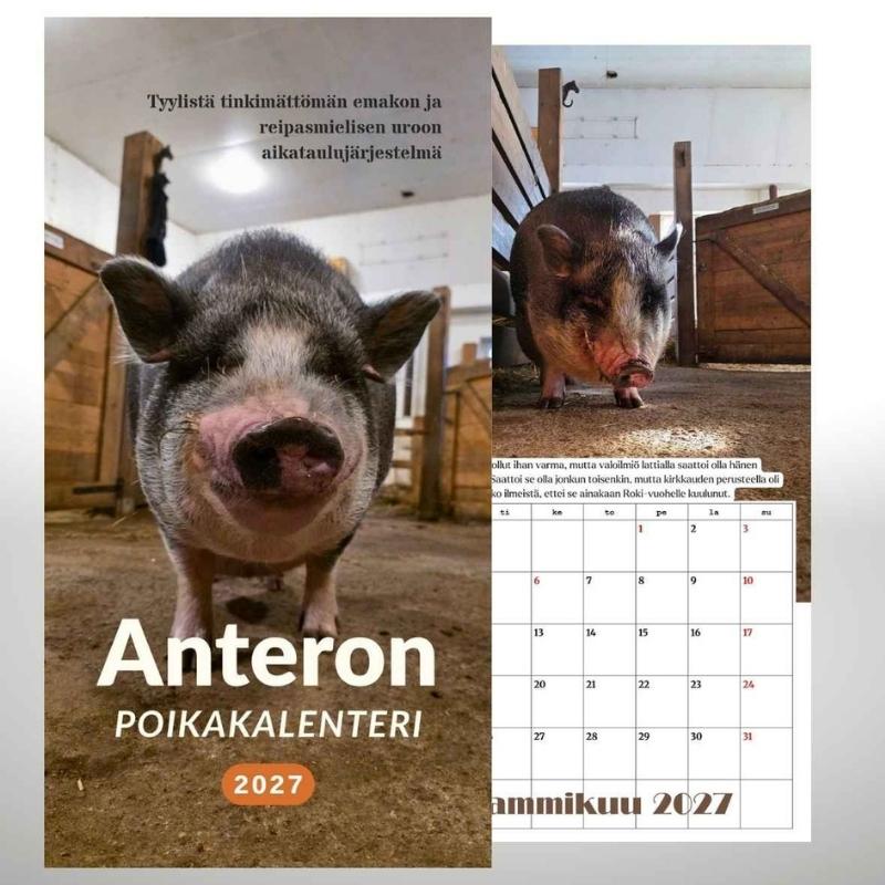 Tiluksilla Anteron Poikakalenteri 2027