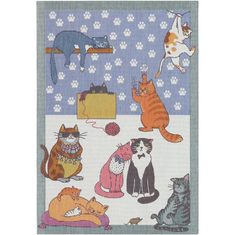 CATS FUN puuvillapyyhe 35 x 50cm Pyyhkeet Ekelunds 