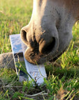 Hyvän Mielen Maitosuklaa -pakkausta maistelee vaaleaturpainen hevonen. 