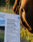 Tiluksilla Hyvän Mielen Maitosuklaa -pakkauksen takapuoli, jota nuuskuttelee hevonen. Pakkauksesta selviää maitosukslaan ainesosat ja ravintosisältö.