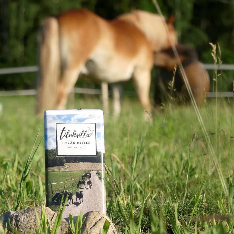Tiluksilla Hyvän Mielen Maitosuklaa -levy kesäisellä laitumella hevosten edessä.