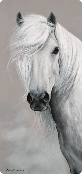 Merja Sirviö Artin Liinu-taidekortissa valkoinen tuuheaharjainen hevonen katsoo suoraan katsojaan.