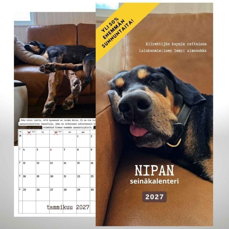 Nipan seinäkalenteri 2027