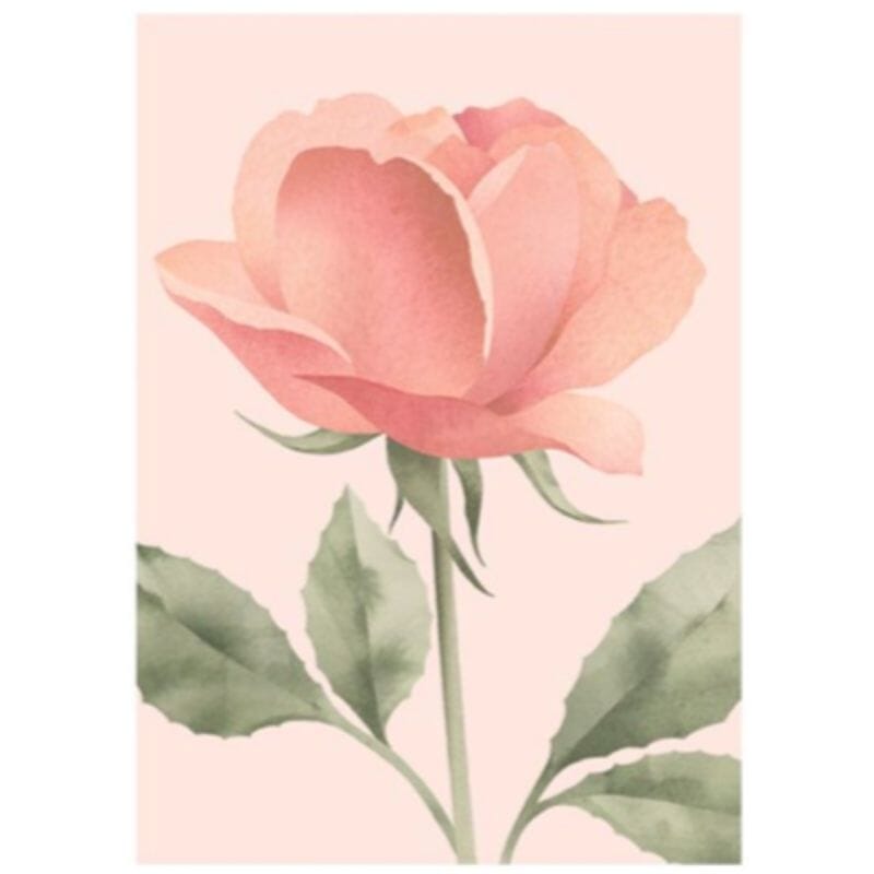 Annariikka Qvistin Sinulle-postikortissa ihastuttaa muhkea vaaleanpunainen ruusu herkän vaaleanroosalla taustalla.