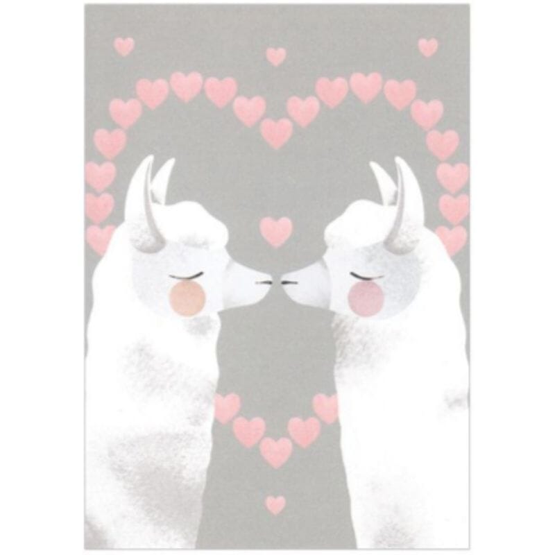 Annariikka Qvistin Suukko-postikortissa ihastuttaa kaksi sydämen keskellä nenäkkäin seisovaa laamaa.