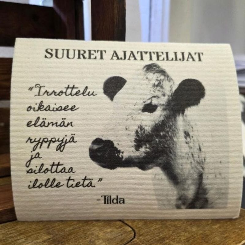 Suuret Ajattelijat Tiskirätti - Tilda Siivoustuotteet Tiluksilla 